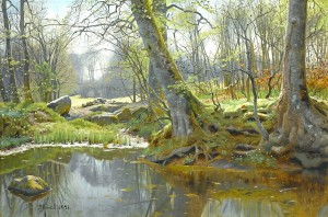 Spring landscape with lake and rocks in a forest